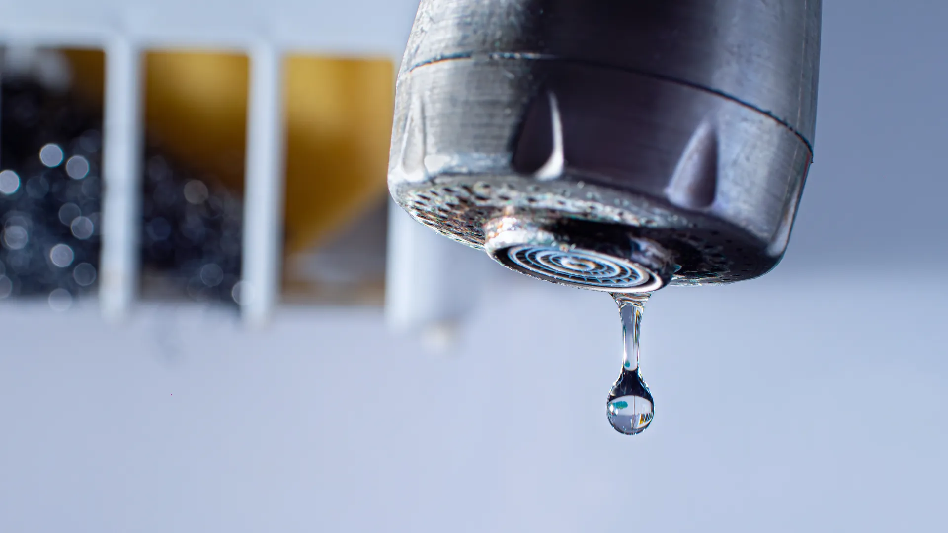 5 Common Plumbing Issues in Port Elizabeth Homes: What You Need to Know